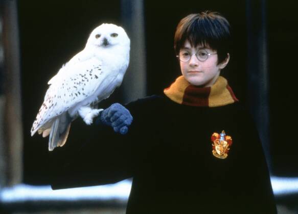 Harry Potter und der Stein der Weisen, (HARRY POTTER AND THE SORCERER S STONE) GB-USA 2001, Regie: Chris Columbus, DANIEL RADCLIFFE, Stichwort: Eule, Brille UnitedArchives00018360