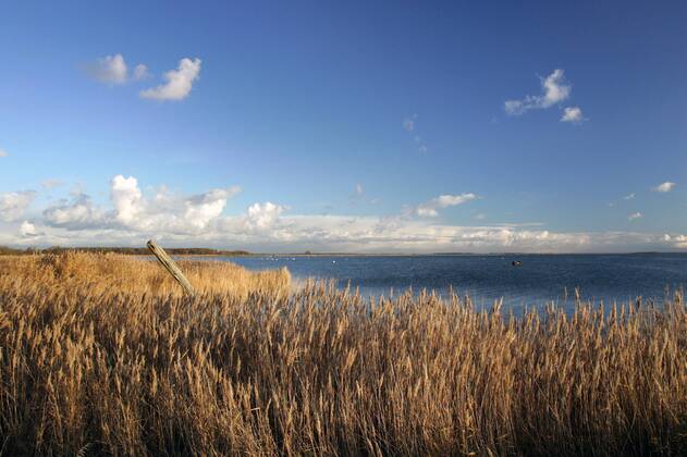 19.11.2005, Zingst, Mecklenburg-Vorpommern, DEU - Ansicht des Nationalpark Vorpommersche Boddenlandschaft. (Bodden, Boddenlandschaft, Nationalpark, Nationalpark Vorpommersche Boddenlandschaft, Barther Bodden, Landschaft, Ostsee, Kueste, Kuestenlandschaft, Ostseekueste, Fischland, Darss, Zingst, Halbinsel, Ferien, Urlaub, Tourismus, Erholung, Idylle, idyllisch, Wasser, See, Schilf, Gras, Graeser, Pflanzen, Natur, Naturschutz, Himmel, Wolken, sonnig, Sonnenschein, Horizont, Weite, Aussenaufnahme, Uebersicht, Panorama, Wasserstrasse, Natur, Herbst, Wetter, Sonnenschein, Herbstwetter, goldener Herbst, Licht, Lichtstimmung, digital, QF, Übersicht, Küste, Ostseeküste, Küstenlandschaft, Gräser) 00S051119D018.JPG MODEL RELEASE: NO MR:N