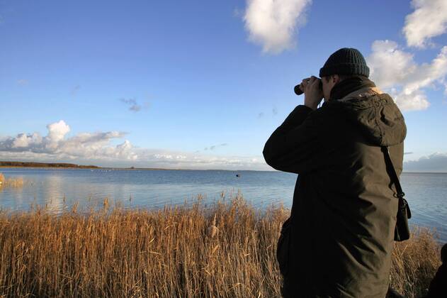 19.11.2005, Zingst, Mecklenburg-Vorpommern, DEU - Ein Mann schaut durch sein Fernglas auf die Boddenlandschaft. (Mensch, Mann, Fernglas, Feldstecher, Vogelkundler, Ornithologe, Vogelkunde, Hobby, Beruf, Beobachtung, beobachten, observieren, Observation, suchen, Suche, Bodden, Boddenlandschaft, Nationalpark, Nationalpark Vorpommersche Boddenlandschaft, Barther Bodden, Halbinsel, Landschaft, Ostsee, Kueste, Kuestenlandschaft, Ostseekueste, Fischland, Darss, Zingst, Ferien, Urlaub, Tourismus, Erholung, Wasser, See, Schilf, Gras, Graeser, Pflanzen, Natur, Naturschutz, Himmel, Wolken, sonnig, Sonnenschein, Horizont, Weite, Aussenaufnahme, Mecklenburg-Vorpommern, Mecklenburg Vorpommern, Herbstwetter, goldener Herbst, Licht, Lichtstimmung, Herbstwetter, Uebersicht, Panorama, Wasserstrasse, Herbst, Wetter, digital, QF, Übersicht, Küste, Ostseeküste, Küstenlandschaft, Gräser) 00S051119D021.JPG M MR:N