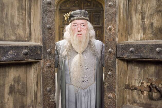 Warner Brothers Pictures Presents Harry Potter and the Order of the Phoenix Michael Gambon © 2007 Warner Bros. Entertainment Inc. - Harry Potter Publishing Rights © J. K. R. Copyright: xMurrayxClosex 30292_018