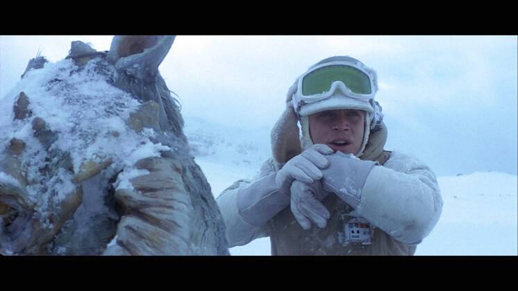 Star Wars Episode V: The Empire Strikes Back (1980) Hollywood CA USA  Copyright: xThexLegacyxCollectionx 32603_431THA