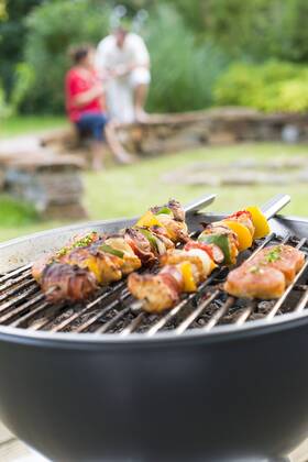 Garten Grillparty, Österreich, Niederösterreich, Südliches NÖ, Eggendorf Copyright: xKTHx ALLAT845868