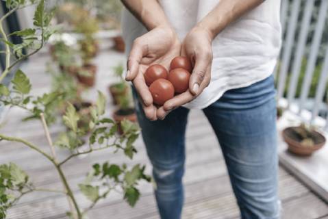Woman on balcony holding tomatoes model released Symbolfoto property released  JOSF01581