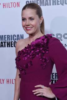 Actress Amy Adams arrives for the 31st annual American Cinematheque Awards annual gala at the Beverly Hilton Hotel in Beverly Hills, California on November 10, 2017. Adams was honored as an extraordinary artist in the entertainment industry currently making a significant contribution to the art of the moving picture.  LAP2017111013 JIMxRUYMEN