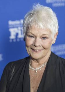 November 30, 2017 - Santa Barbara, California, USA - Academy Award winner DAME JUDI DENCH on the red carpet before being honored with the 12th annual Kirk Douglas Award for Excellence in Film. The award goes to a lifelong contributor to cinema through work in front of the camera, behind, or both. Past honorees include Warren Beatty, Jane Fonda, Jessica Lange, Forest Whitaker, Robert DeNiro, Michael Douglas, Harrison Ford, Quentin Tarantino, Ed Harris, and John Travolta. Proceeds from the black-tie event support the Santa Barbara International Film Festivals education programs. Santa Barbara USA - ZUMAh13_ 20171130_zaf_h13_008 Copyright: xPJxHellerx
