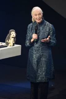 Bilder des Tages Jane Goodall bei der Verleihung des 10. Deutschen Nachhaltigkeitspreises 2017 im Maritim Hotel. Düsseldorf, 08.12.2017