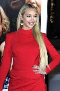Corinne Olympios bei der Premiere des Kinofilms Father Figures Wer ist Daddy? in TCL Chinese Theatre, Hollywood. Los Angeles, 13.12.2017