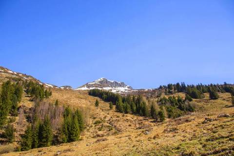 Bartgeier, Bart-Geier, Laemmergeier, Laemmer-Geier (Gypaetus barbatus), Brutgebiet des Bartgeiers, Oesterreich, Tirol, Osttirol, Matrei Lammergeier, Bearded Vulture (Gypaetus barbatus), breeding habitat, Austria, Tyrol, Eastern Tyrol, Matrei BLWS471270 Copyright: xblickwinkel R.xSturmx