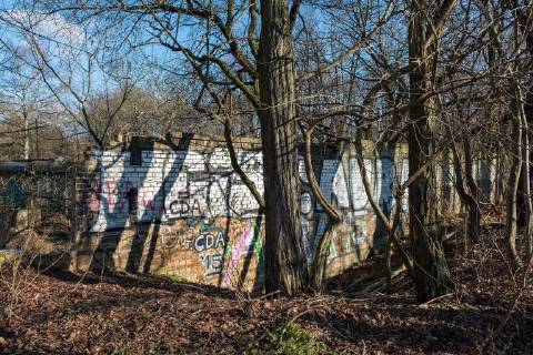 Themen der Woche Bilder des Tages Das kuerzlich in einem Waldstueck wiederentdeckte Stueck Berliner Mauer (Foto vom 05.02.18) soll als Denkmal erhalten werden. Das Landesdenkmalamt leitete die Unterschutzstellung des Mauerabschnittes am Berliner S-Bahnhof Schoenholz ein, wie Kultursenator Klaus Lederer (Linke) am Montag (05.02.2018) mitteilte. Er sprach von einem einzigartigen historischen Dokument der Teilung der Stadt. Bei dem erst vor wenigen Wochen durch einen Heimatforscher bekanntgemachten Fund handelt es sich den Angaben zufolge um eine alte Ziegelmauer, die im Zuge der Spaltung von Ost- und West-Berlin als Teil der Berliner Mauer verwendet und gesichert wurde. Nach Bekanntwerden der Entdeckung war zunaechst davon ausgegangen worden, dass es sich um ein Stueck Ur-Mauer handeln koennte. (Siehe epd-Medlung vom 05.02.2018) Berliner Mauerfund soll Denkmal werden