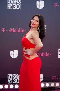 The host of radio and television and Costa Rican model Julie Ferretti poses on his arrival to the carpet of the 30th edition of the Lo Nuestro Award to the Latin Music, at the American Airlines Arena in Miami, USA, 22 February 2018. EPA Giorgio Viera Famous and popular Latinos parade in carpet of Lo Nuestro Award !ACHTUNG: NUR REDAKTIONELLE NUTZUNG!  Copyright: xGIORGIOxVIERAx MIA00 20180223-636549509296961347