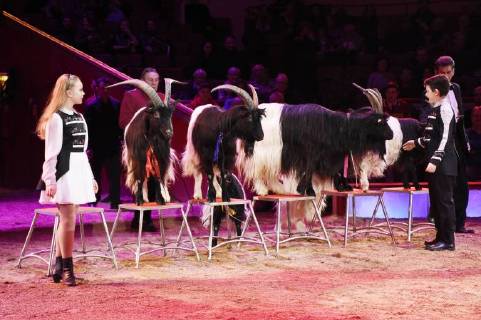 Shirin & Alexis bei der Premiere vom 3. Winterprogramm 2018 des Circus Krone im Kronebau. München, 01.03.2018