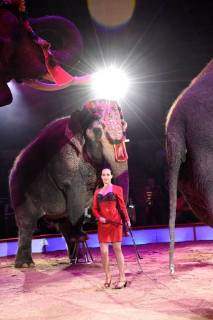 Jana Mandana Lacey-Krone bei der Premiere vom 3. Winterprogramm 2018 des Circus Krone im Kronebau. München, 01.03.2018