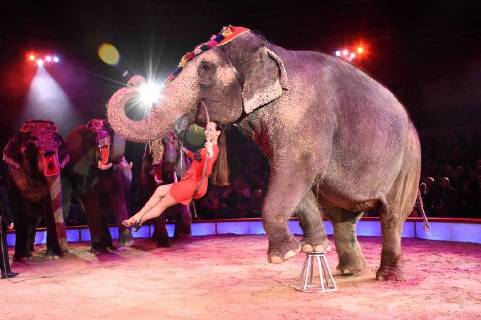 Jana Mandana Lacey-Krone bei der Premiere vom 3. Winterprogramm 2018 des Circus Krone im Kronebau. München, 01.03.2018