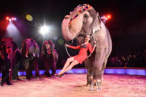 Jana Mandana Lacey-Krone bei der Premiere vom 3. Winterprogramm 2018 des Circus Krone im Kronebau. München, 01.03.2018