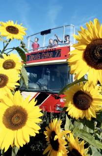 Picture by Roger Bamber: 14 September 2003 Brighton & Hove Bus and Coach Company. A Family enjoy a trip to Sussex Downs beauty spot Devils Dyke on the top deck of open top Scania bus No. 617 Douglas Reeve , named after a World War 2 organist who played at the Brighton Dome and later went on to become its manager., Copyright: Topfoto !ACHTUNG AUFNAHMEDATUM GESCHÄTZT! UnitedArchives1386127