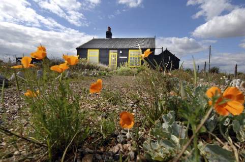 Picture by Roger Bamber: 1 September 2007 : Prospect Cottage, the former home of the late artist and film director Derek Jarman at Dungeness,on Romnet Marsh, Kent. The house and its dry shingle garden is photographed through some wild flowers., Copyright: Topfoto !ACHTUNG AUFNAHMEDATUM GESCHÄTZT! UnitedArchives1388199