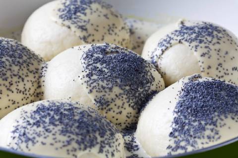IMAGO Creative: Food, Mohn Pan of prepared yeast dumpling in vanilla sauce sprinkled with poppy seed, close-up  CSF28757