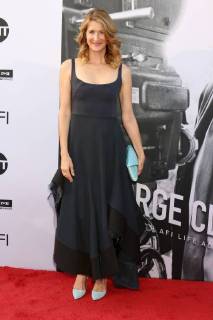 LOS ANGELES - JUN 7: Laura Dern at the American Film Institute Lifetime Achievement Award to George Clooney at the Dolby Theater on June 7, 2018 in Los Angeles, CA  Copyright: xKathyxHutchinsx xIPAx xHutchinsxPhotox