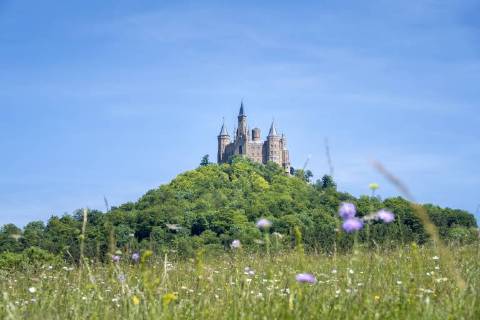 An image of the Castle Hohenzollern in south Germany McPGAN