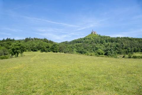 An image of the Castle Hohenzollern in south Germany McPGAN