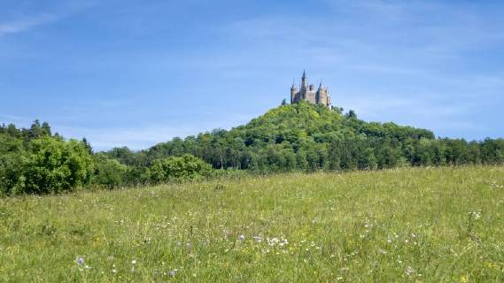 An image of the Castle Hohenzollern in south Germany McPGAN