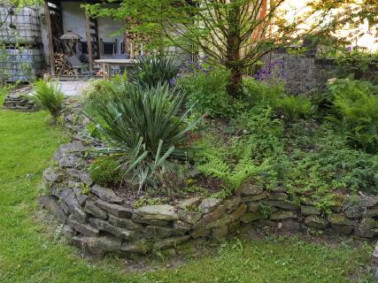 Adamsnadel, Faedige Palmlilie, Palmlilie (Yucca filamentosa), Hochbeet mit Natursteinmauer in einem Garten im Sommer, Deutschland Adam s needle, weak-leaf Yucca (Yucca filamentosa), raised bed with natural stone wall in summer, Germany BLWS488809 Copyright: xblickwinkel fotototox