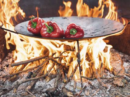 Red bell peppers on barbecue tray  NOF00039
