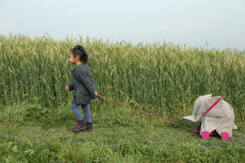 Little girl pulling origami elephant on rolls at field model released Symbolfoto property released  PSTF00123