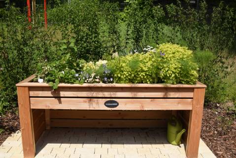 Hochbeet, Kraeuter, Gemuese raised bed, Herbs, Vegetables