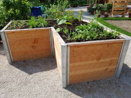 Hochbeet, Kraeuter, Gemuese raised bed, Herbs, Vegetables