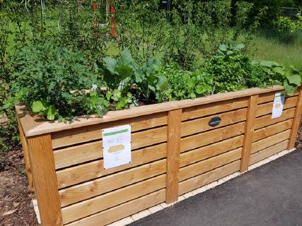 Hochbeet, Kraeuter, Gemuese raised bed, Herbs, Vegetables