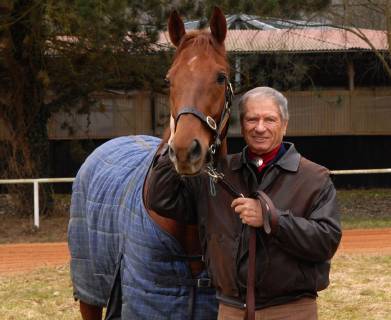 Der Pferdezüchter und ehemalige Rodeoreiter Monty Roberts, der sich mit dem Umgang schwieriger Pferde beschäftigt, ist am Dienstag (03.03.2009) auf der privaten Pferderennbahn am Trainingszentrum Schmeer in Saarbrücken zu Besuch.