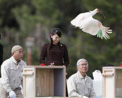Entertainment Bilder der Woche KW42 Entertainment Bilder des Tages Princess Mako in Sado Princess Mako, the eldest granddaughter of Emperor Akihito and Empress Michiko, releases a crested ibis during a ceremony in Sado on an island in the Sea of Japan, Niigata Prefecture, on Oct. 15, 2018. 