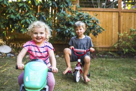 A smiling blond toddler girl in pink and a blond boy sit on tricycles in a backyard., SEATTLE Washington United States model released Symbolfoto Copyright: DavidxHanson HADV000788