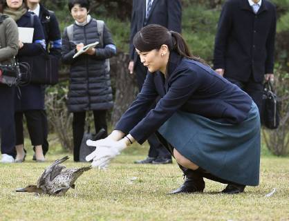 Entertainment Themen der Woche KW49 Entertainment Bilder des Tages Princess Mako at Imperial Wild Duck Preserve Japanese Princess Mako, the eldest granddaughter of Emperor Akihito, releases a duck as foreign ambassadors to Japan are invited to an event to introduce traditional Japanese duck hunting at the Shinhama Imperial Wild Duck Preserve in Ichikawa, Chiba Prefecture, on Dec. 7, 2018. 