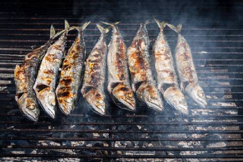  Mackerel grilled  Copyright: xcicox Panthermedia14906077
