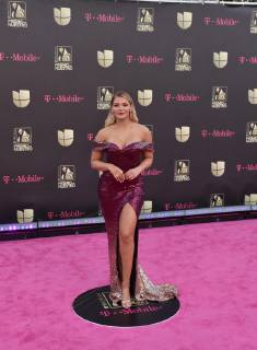 Former Venezuelan beauty queen Migbelis Castellanos poses on the magenta carpet of the Lo Nuestro Awards at the American Airlines Arena in Miami, USA, 21 February 2019. Lo Nuestro celebrates today a new edition of these popular voting awards organized by the network Univision and which awards the best Hispanic artists of the last year. Lo Nuestro Awards 2019 !ACHTUNG: NUR REDAKTIONELLE NUTZUNG!  Copyright: xGastonxDexCardenasx AME6747 20190222-636864061008686095