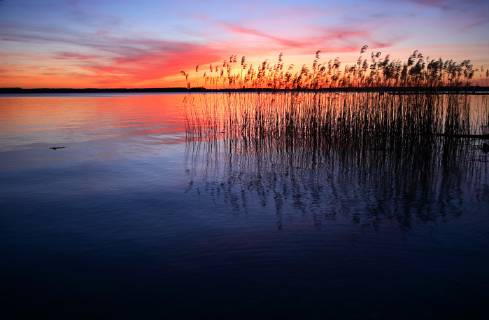 See mit Schilf bei Sonnenuntergang, Plauer See, Mecklenburg-Vorpommern, Deutschland