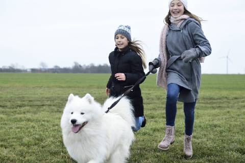 Two girls running on a meadow with dog having fun model released Symbolfoto property released  ECPF00259