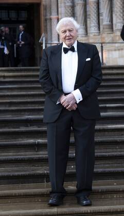 IMAGO ICONS: Sir David Attenborough April 4, 2019 - London, United Kingdom of Great Britain and Northern Ireland - Sir David Attenborough arriving at the Global Premiere of Our Planet at the Natural History Museum on April 4 2019 in London London United Kingdom of Great Britain and Northern Ireland Copyright: xFamousx