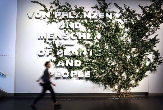 Entertainment Themen der Woche KW16 Entertainment Bilder des Tages Zu einem Streifzug ueber den gruenen Planeten laedt das Deutsche Hygiene-Museum Dresden von Freitag (19.04.2019) an ein (Foto vom 18.04.2019). Die neue Ausstellung widme sich dem zwiespaeltigen Verhaeltnis des Menschen zur Welt der Pflanzen, teilte das Museum am Donnerstag mit. Erstmals in der europaeischen Museumslandschaft werde eine umfassende und interdisziplinaere Annaeherung an die wichtigsten Mit-Lebewesen unternommen. (Siehe epd-Bericht vom 18.04.2019) Dresdner Ausstellung Streifzug ueber den gruenen Planeten
