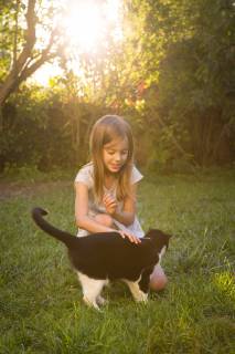 Smiling little girl stroking cat in the garden model released Symbolfoto property released  LVF07611