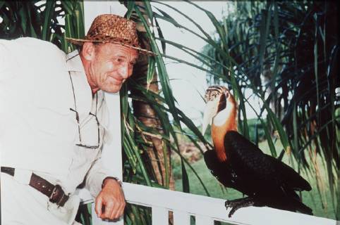 DER PARADIESVOGEL - EINE LIEBE AM ENDE DER WELT Auf Papua-Neuguinea wartet Patrick Stein auf die Ornithologin Andrea Welte. Gemeinsam wollen sie die letzten lebenden Paradiesvögel in freier Natur erforschen. Zudem erhofft er, daß die erloschene Liebe zwischen ihnen beiden in diesem Paradies wieder auflebt. Szene mit MICHAEL MENDL als Patrick Stein mit einem Furchenschnabel-Hornvogel, der auf einem Verandageländer in der Nagada-Station saß. Regie: Peter Deutsch aka. Teil 1 DER PARADIESVOGEL - EINE LIEBE AM ENDE DER WELT Copyright: KPA !AUFNAHMEDATUM GESCHÄTZT! Nur redaktionelle Nutzung im Zusammenhang mit dem Film. Editorial usage only and only related to the movie. Im Falle anderer Verwendungen, kontaktieren Sie uns bitte. For other uses, please contact us. UnitedArchives00885456