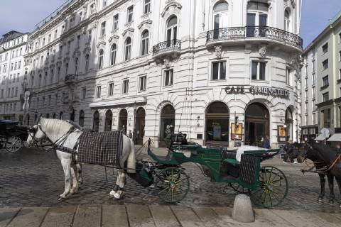 Cafe Klimt im ehemaligen Cafe Griensteidl am Michaelerplatz in Wien