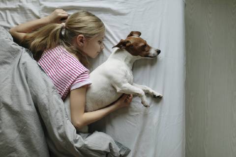 Blond girl lying on bed with her dog sleeping, top view model released Symbolfoto property released  JPF00378