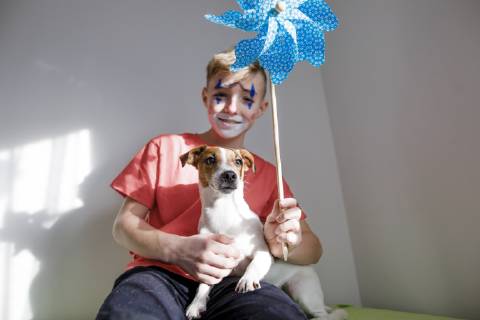Portrait of Jack Russel Terrier with boy made up as a clown holding pin wheel model released Symbolfoto property released  KMKF00780