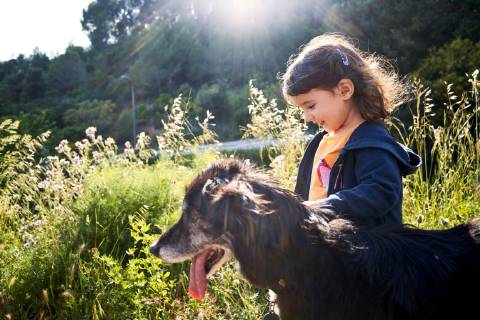 Happy toddler girl walking with dog in nature model released Symbolfoto property released  GEMF02967
