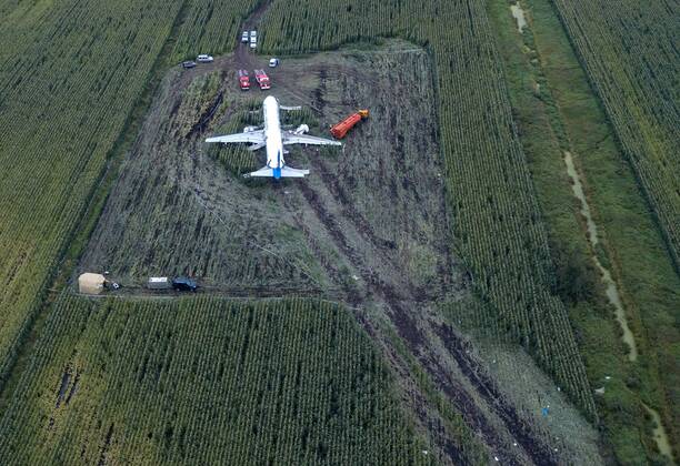 MOSCOW REGION, RUSSIA - AUGUST 16, 2019: An aerial view of the Ural Airlines Airbus A321 plane in a cornfield near Zhukovsky International Airport. The aircraft bound for Simferopol made an emergency landing due to an engine fire on August 15, 2019. Dmitry Golubovich TASS  TS0B6B72