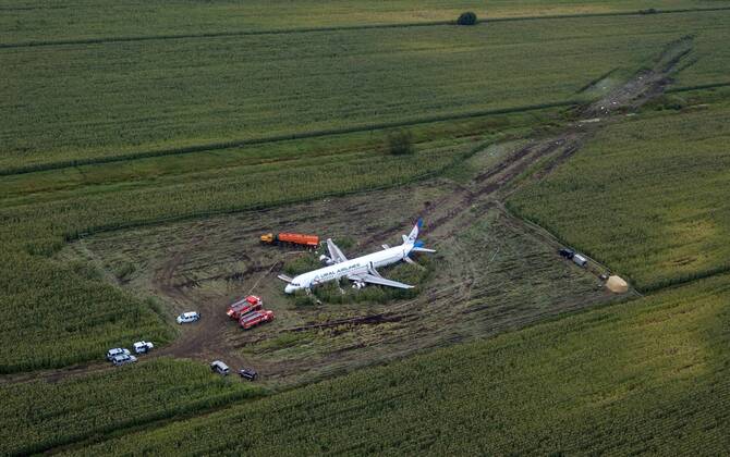 MOSCOW REGION, RUSSIA - AUGUST 16, 2019: An aerial view of the Ural Airlines Airbus A321 plane in a cornfield near Zhukovsky International Airport. The aircraft bound for Simferopol made an emergency landing due to an engine fire on August 15, 2019. Dmitry Golubovich TASS  TS0B6B73