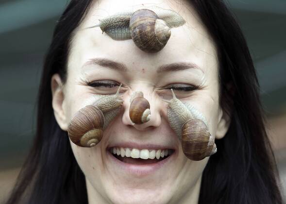 Entertainment Themen der Woche KW34 News Bilder des Tages GRODNO REGION, BELARUS - AUGUST 20, 2019: Viktoria Rabkova, a co-founder of the Ratov snail farm in the village of Dolginovo, Karelichy District. The farm was founded in 2014 by Vladimir and Viktoria Rabkov, a married couple; they breed edible species of snails, including Helix Pomatia, Helix Aspersa Maxima, and Helix Aspersa Muller. Natalia Fedosenko TASS  TS0B71CD